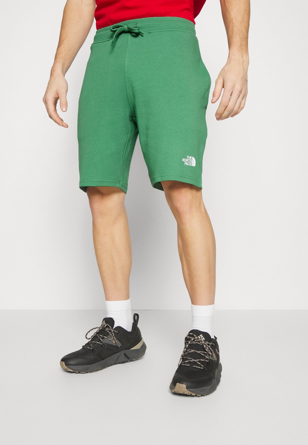 

Спортивные шорты The North Face