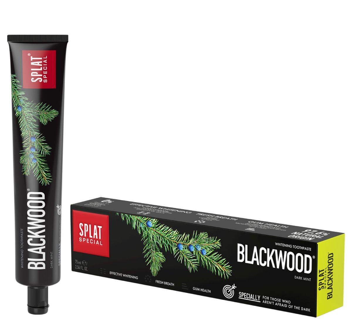 Blackwood паста. Сплат специал зубная паста блэквуд 75 мл. Splat зубная паста. Паста зубная сплат черное дерево 75 мл. Зубная паста splat blackwood.