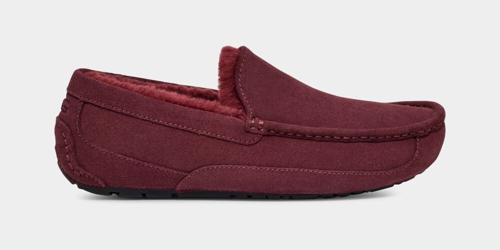 

Домашние тапочки Ascot Slipper UGG, красный