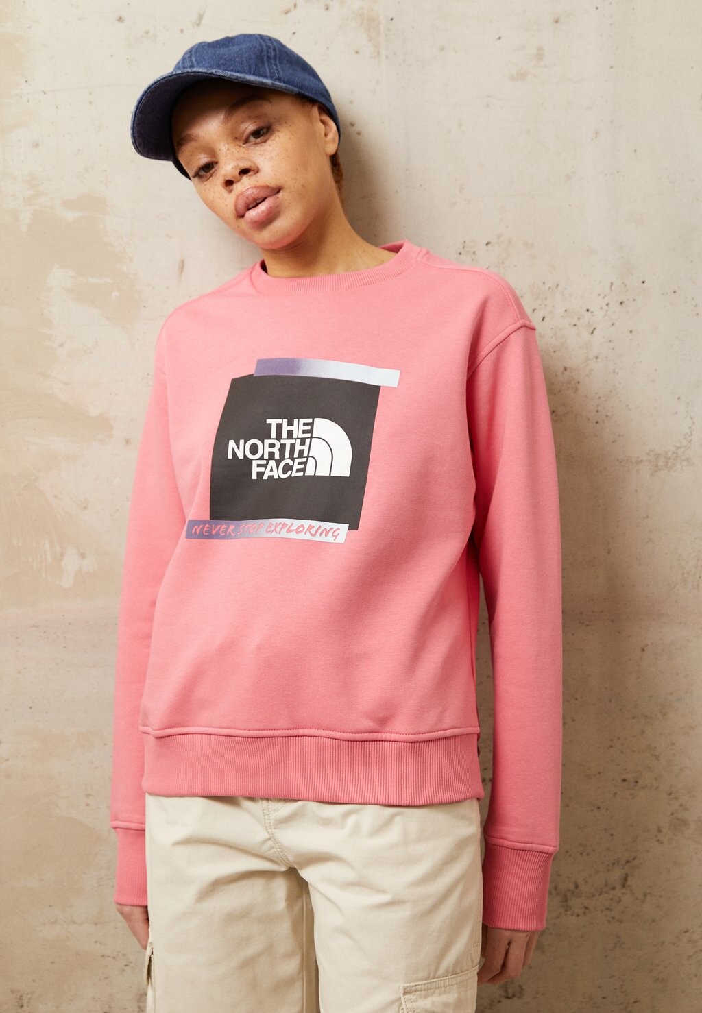 

Толстовка The North Face
