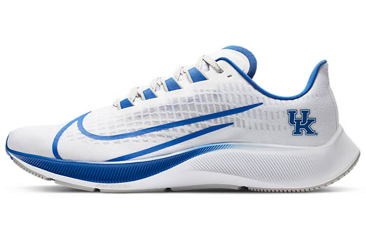 

Кроссовки для бега Nike Pegasus 37 унисекс