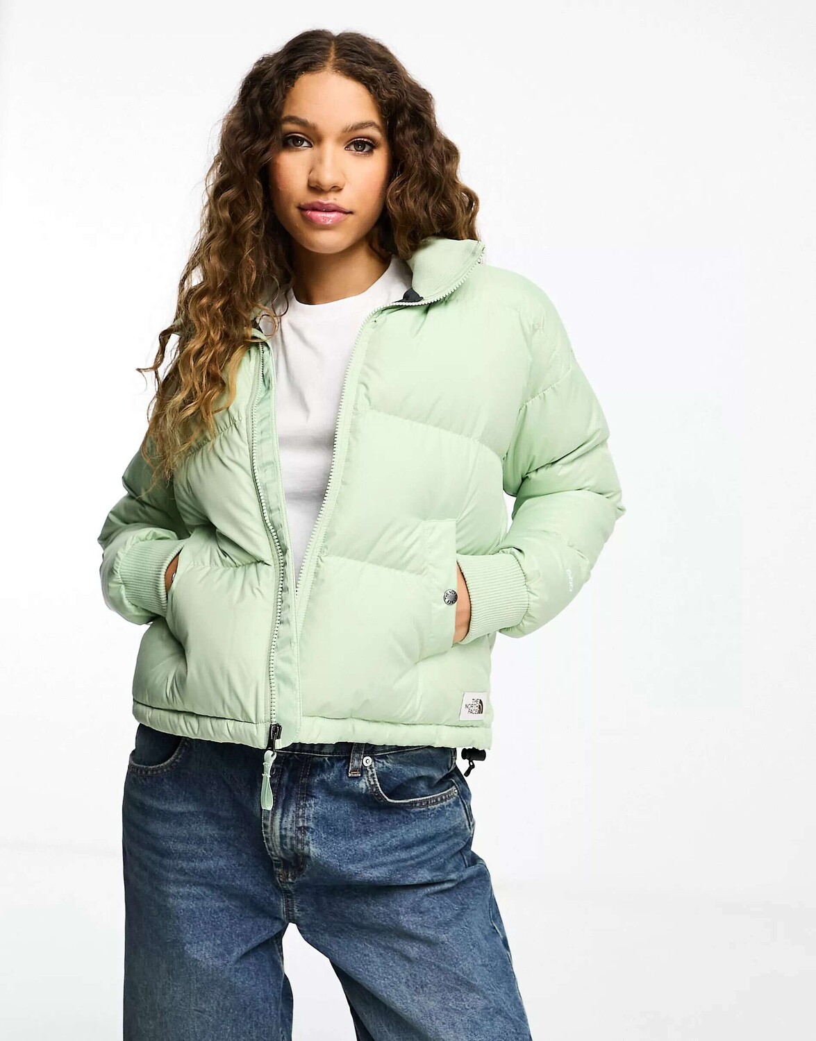 

Зеленый пуховик The North Face Heritage Paralta