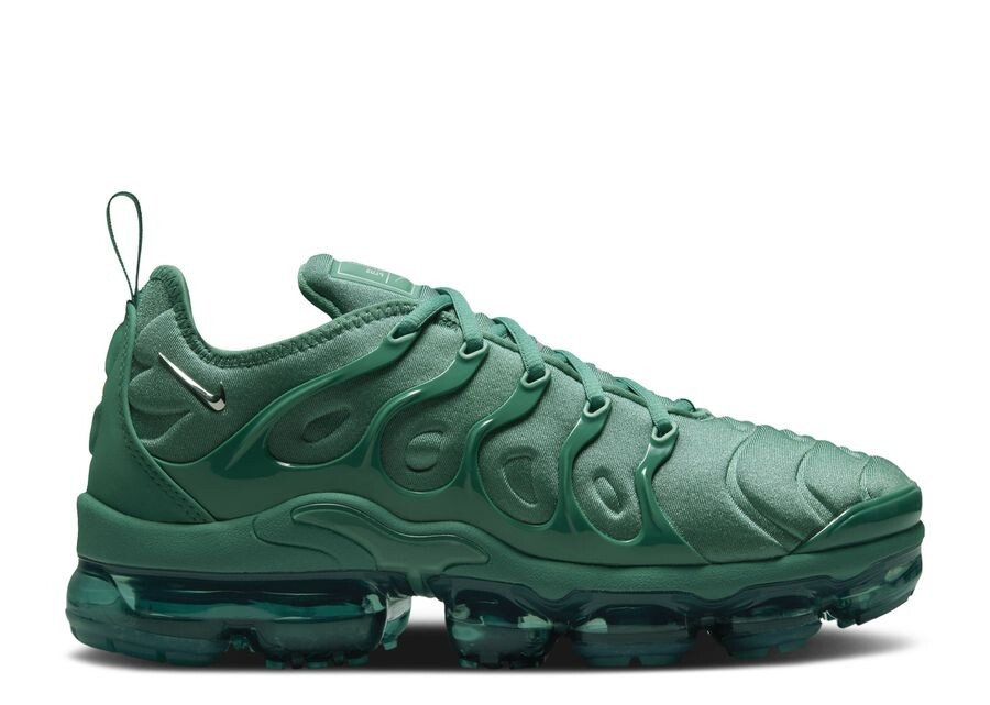 

Кроссовки Nike Wmns Air Vapormax Plus, цвет Bicoastal