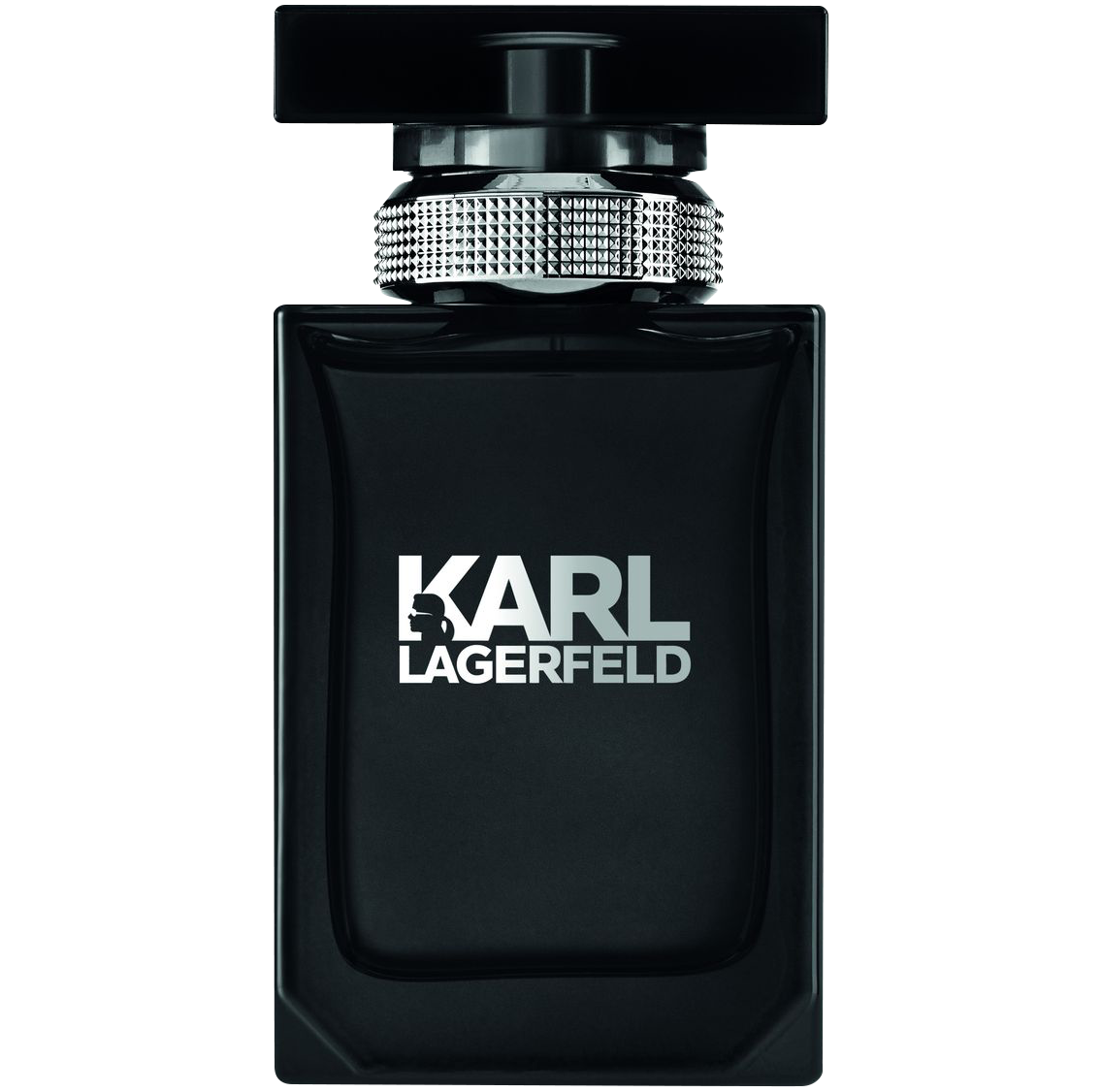 цена Мужская туалетная вода Karl Lagerfeld Men, 50 мл