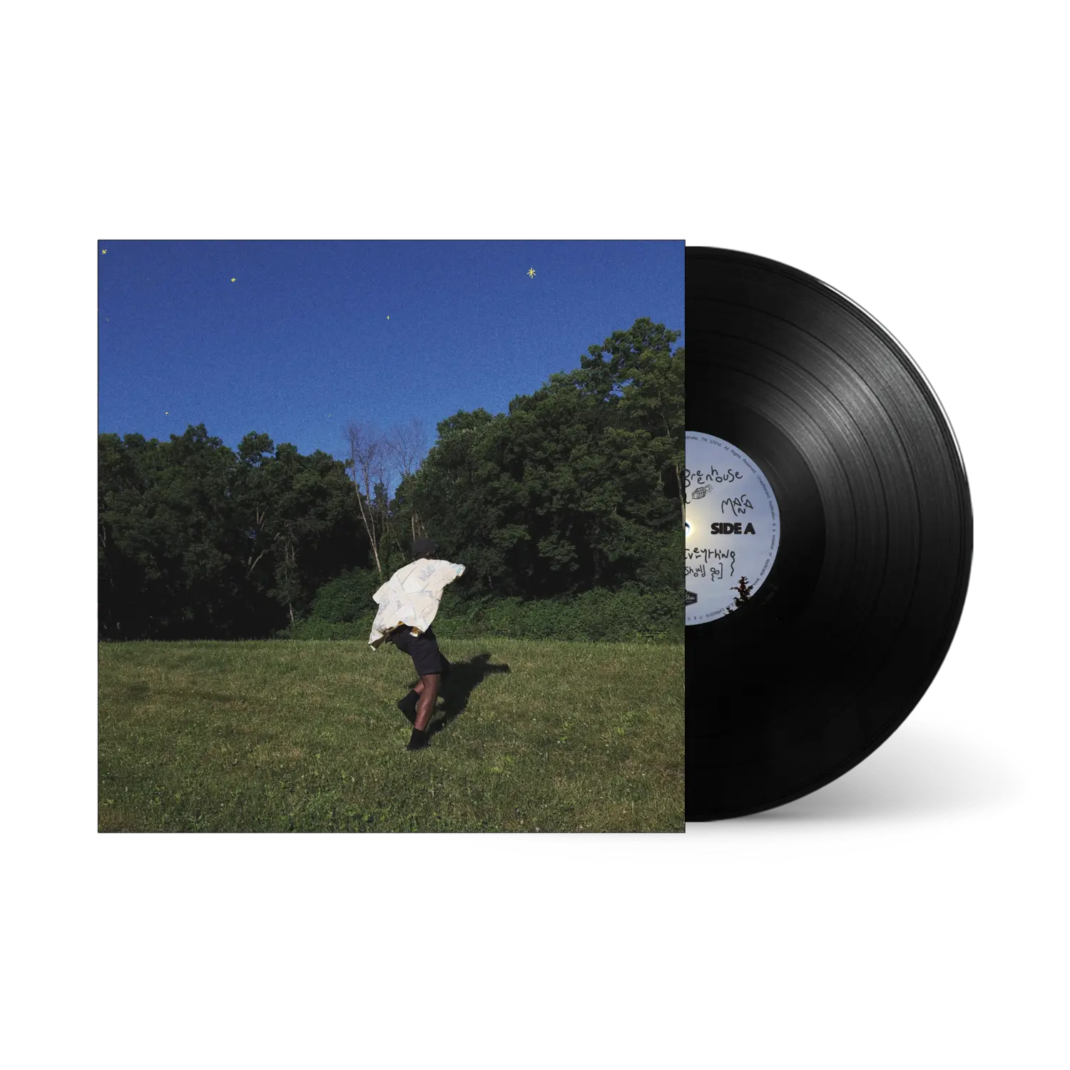 

Виниловая пластинка Greenhouse 10" lp Miloe