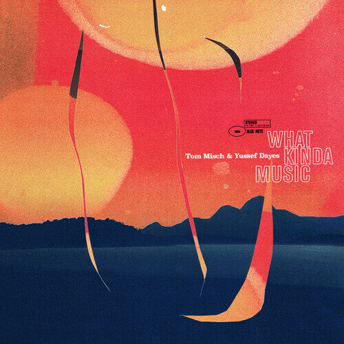 

CD диск Misch, Tom / Dayes, Yussef: What Kinda Music