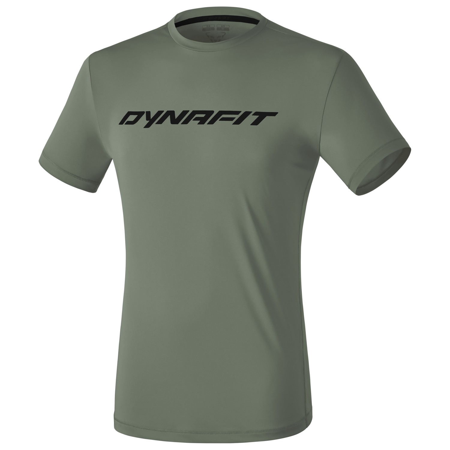 Функциональная рубашка Dynafit Traverse 2 S/S Tee, цвет Sage