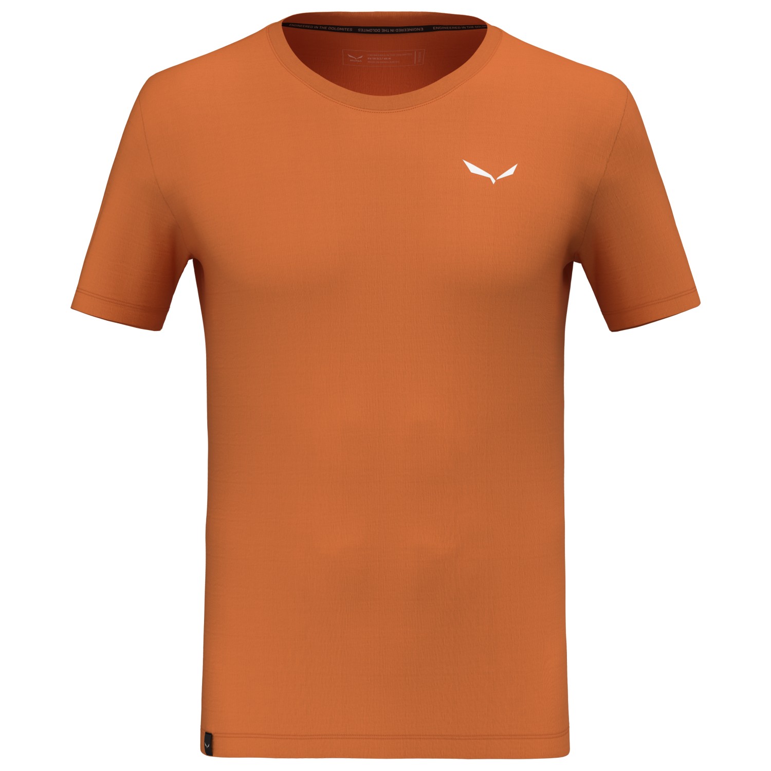 Функциональная рубашка Salewa Eagle Sheep Camp Dry T Shirt, цвет Burnt Orange