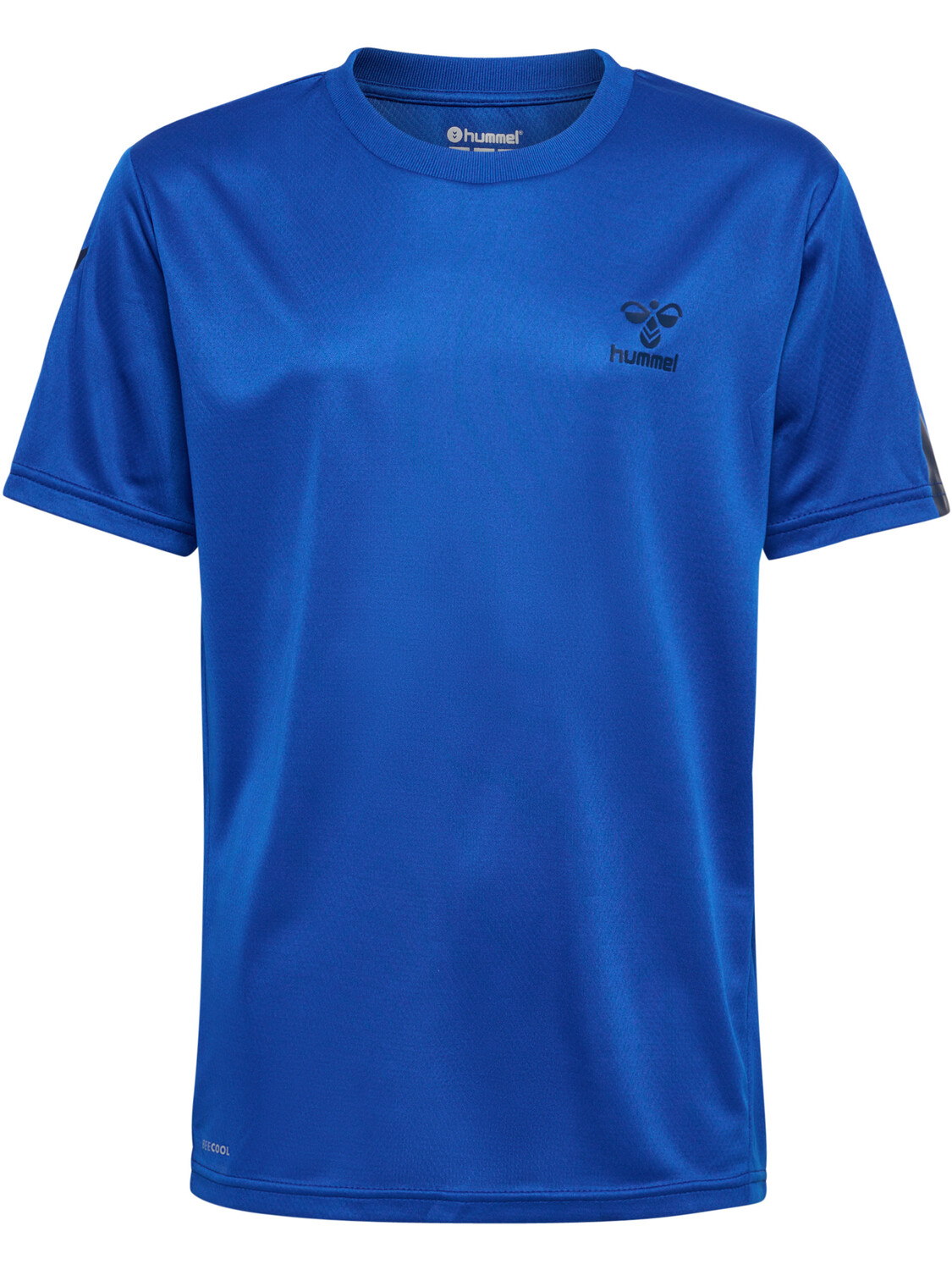 

Футболка Hummel Trikot S/S Hmlactive Pl Jersey S/S Kids, цвет PRINCESS BLUE