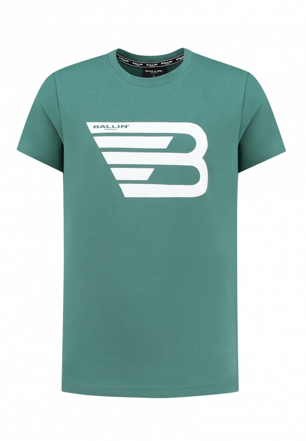

Футболка с принтом SLIM FIT CREWNECK SS Ballin, цвет faded green