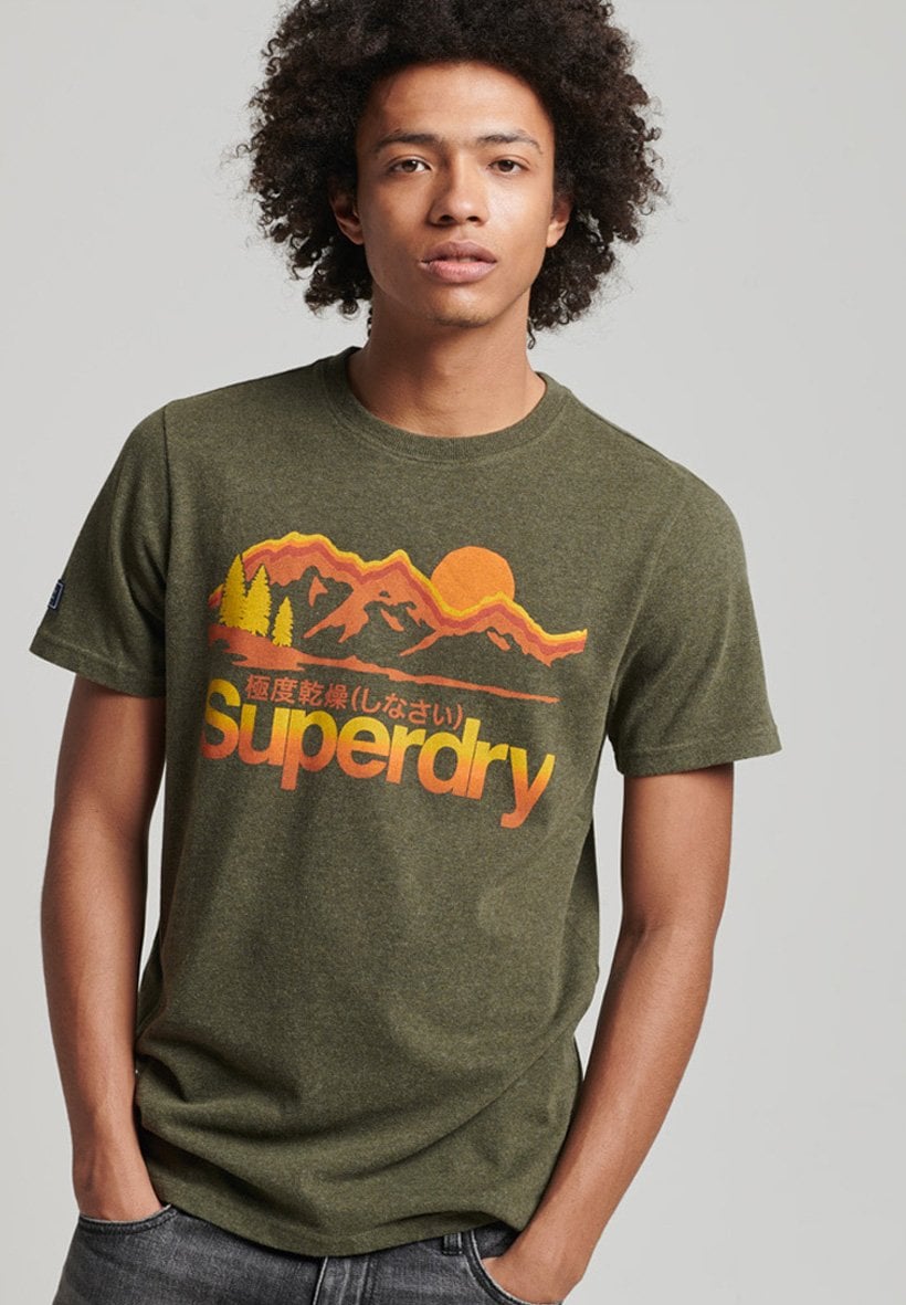 

Футболка с принтом Superdry, хаки