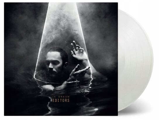 

Виниловая пластинка Editors - In Dream