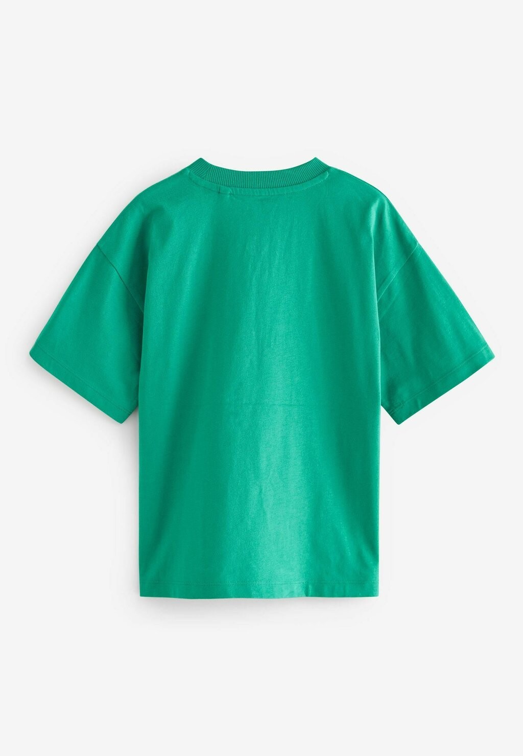 

Футболка с принтом Short Sleeve Regular Fit Next, зеленый