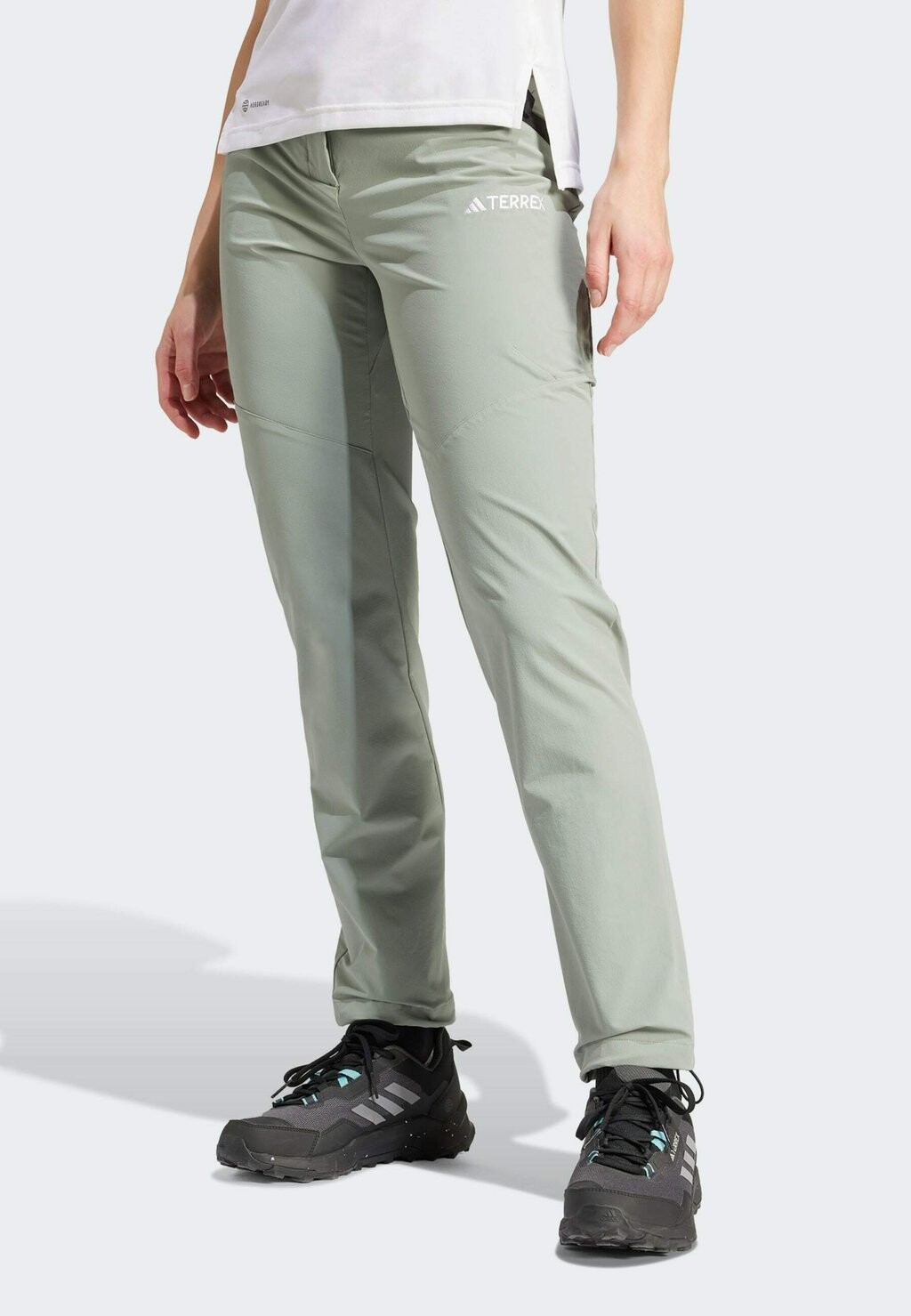 

Уличные брюки Adidas Terrex, цвет silver green