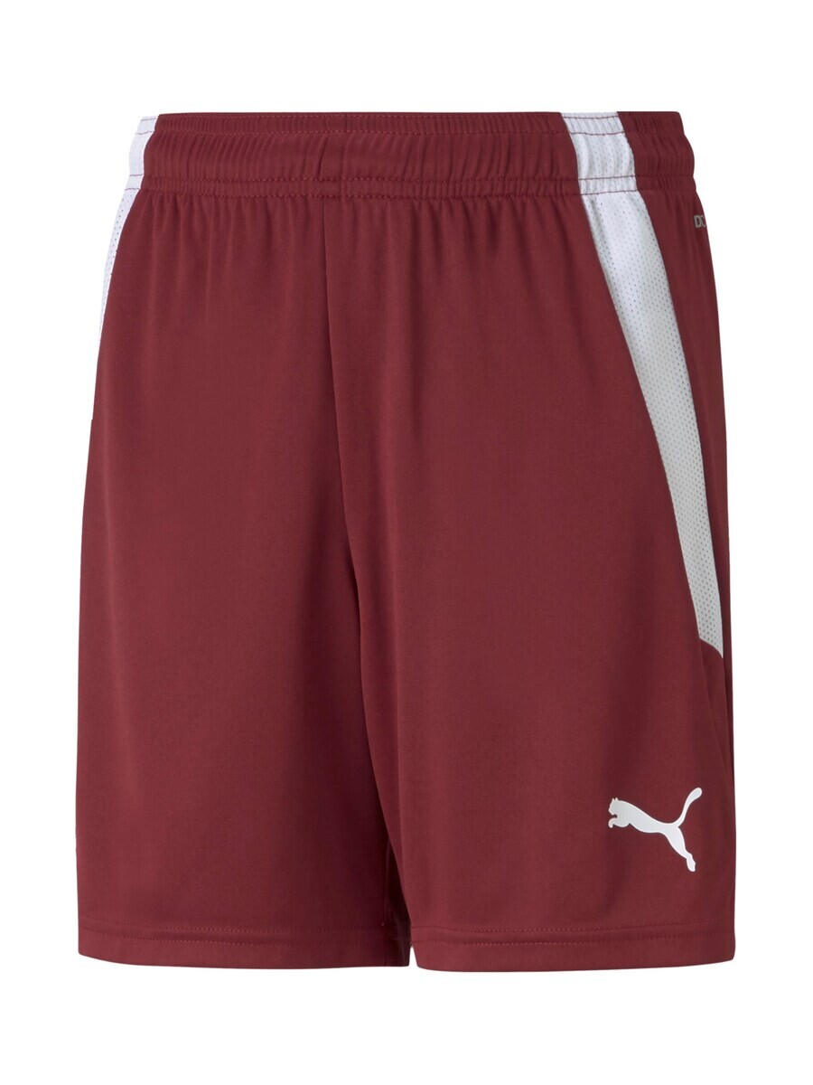 

Спортивные брюки PUMA Regular Workout Pants TeamLiga, бордо