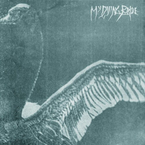 

Виниловая пластинка My Dying Bride: Turn Loose The Swans ( 30th Anniversary Marble Ed)