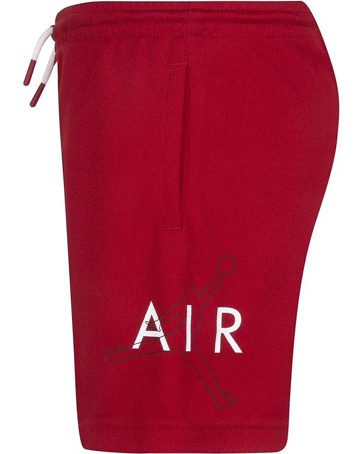 

Шорты Jordan Jumpman Big Air Mesh Shorts, цвет Gym Red
