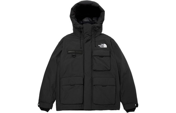 

THE NORTH FACE Мужской пуховик, цвет Black
