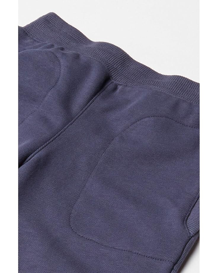 

Брюки Columbia Columbia Branded French Terry Jogger, цвет Nocturnal 2