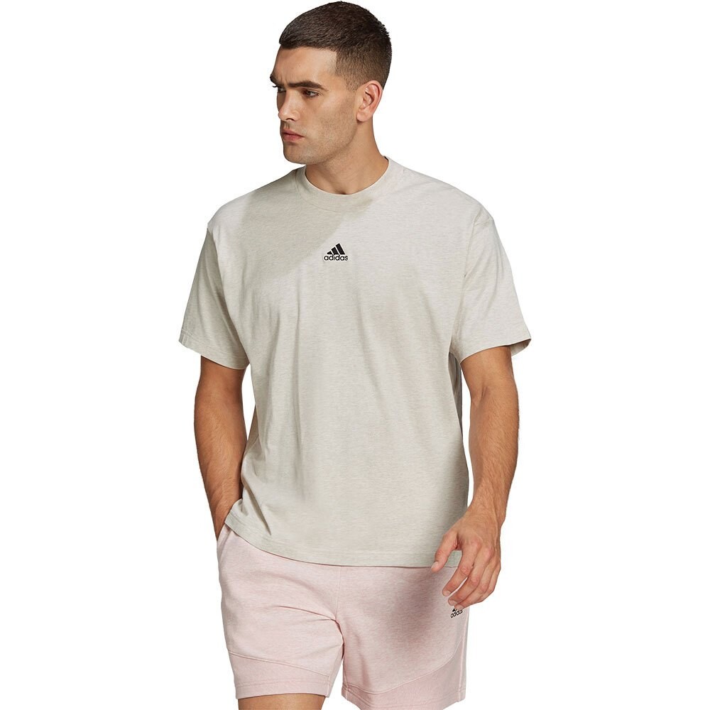 

Футболка adidas Sportswear Botandye, серый