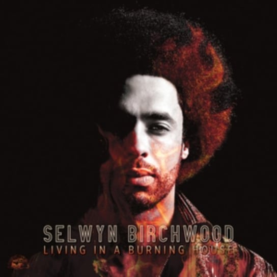 Виниловая пластинка Birchwood Selwyn - Living in a Burning House