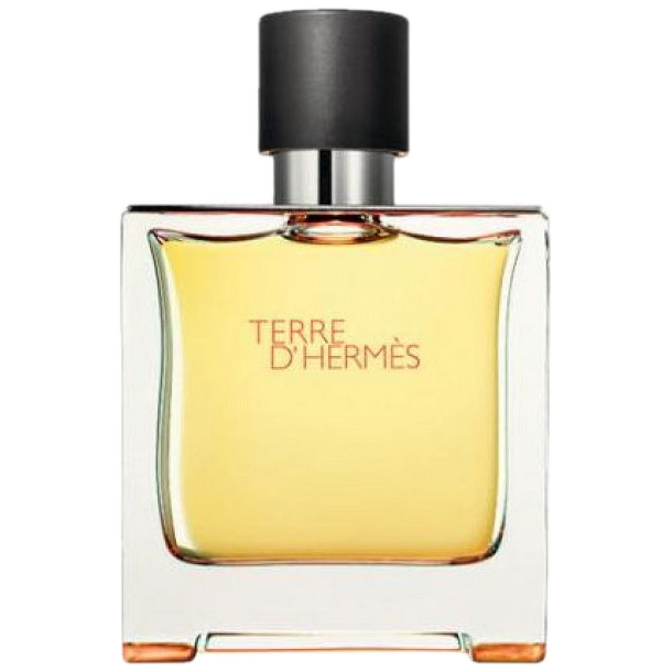 Мужская парфюмированная вода hermes Hermes Terre D', 75 мл цена и фото