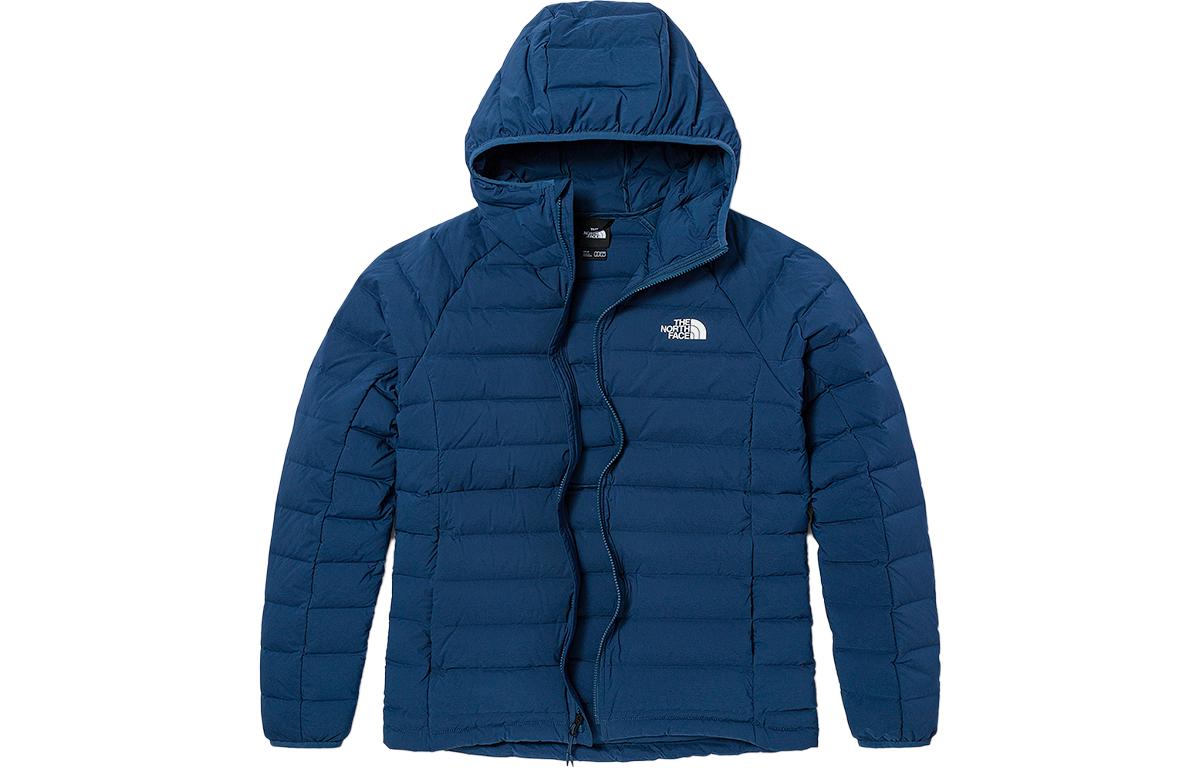 

THE NORTH FACE Мужской пуховик, цвет Blue